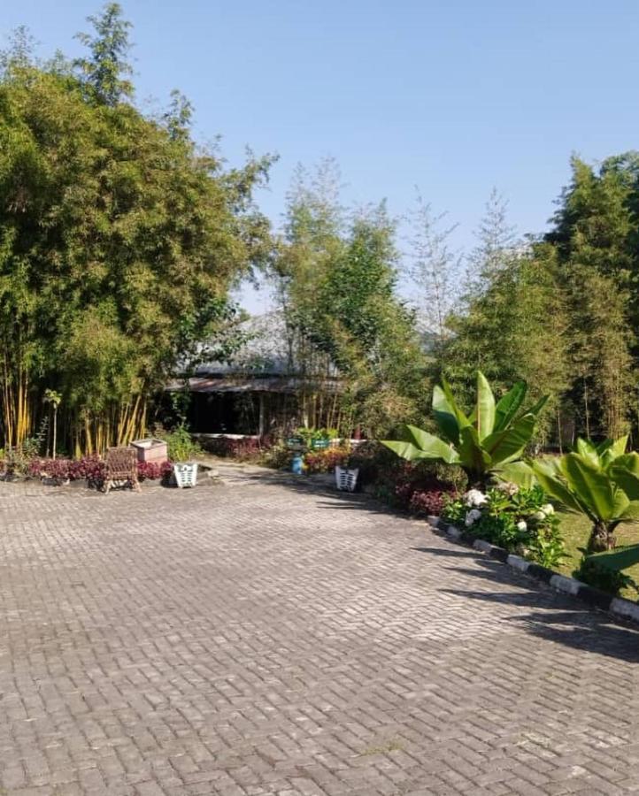 Le Bambou Gorilla Lodge Kinigi Экстерьер фото