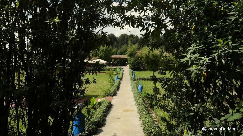 Le Bambou Gorilla Lodge Kinigi Экстерьер фото