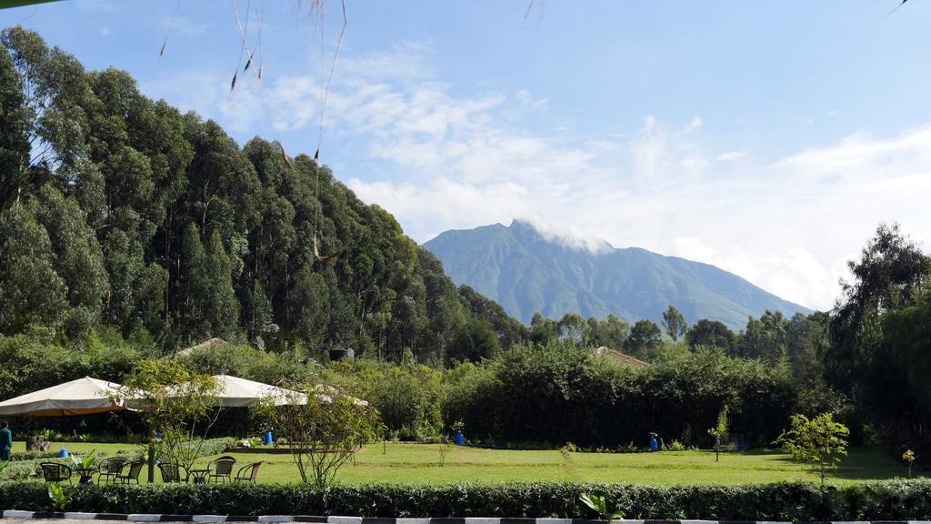 Le Bambou Gorilla Lodge Kinigi Экстерьер фото