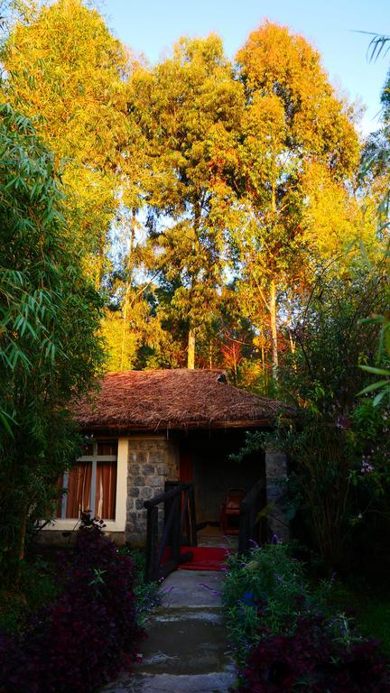Le Bambou Gorilla Lodge Kinigi Экстерьер фото