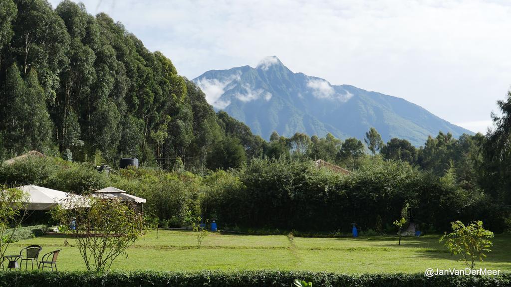 Le Bambou Gorilla Lodge Kinigi Экстерьер фото