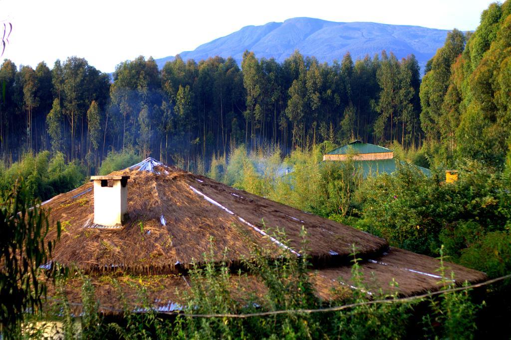 Le Bambou Gorilla Lodge Kinigi Экстерьер фото
