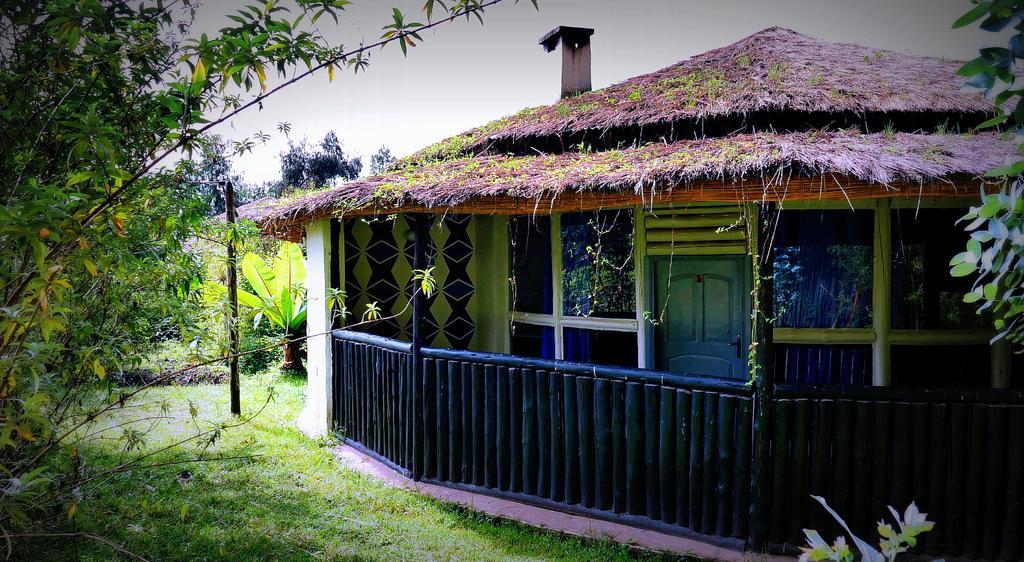 Le Bambou Gorilla Lodge Kinigi Экстерьер фото